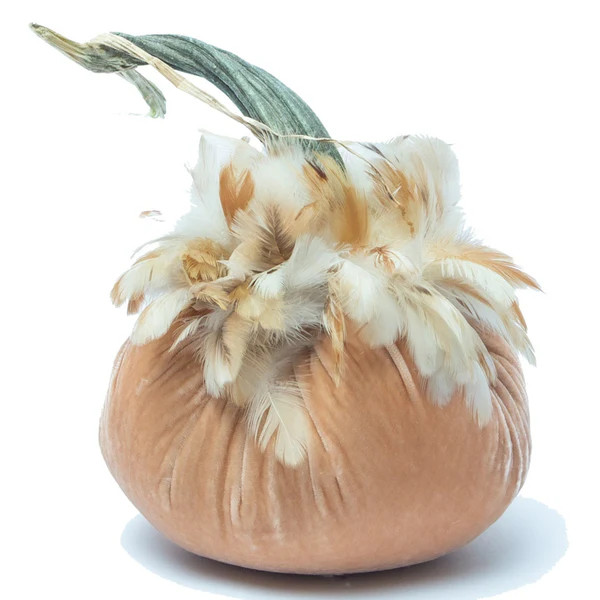 6" Limited Edition Sandstone w/Ginger Feather Collar | Hot Skwash