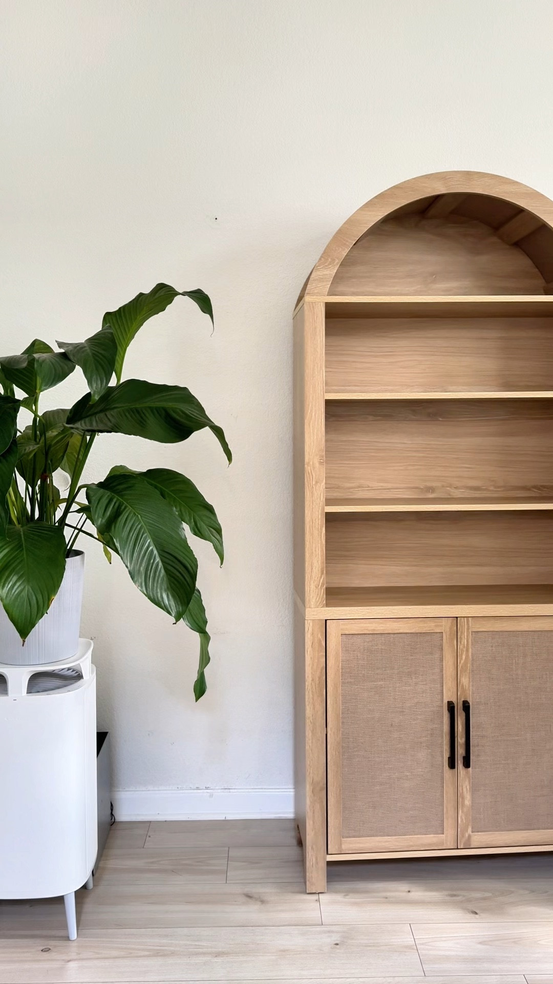 $268 arched bookshelf/cabinet!!! 

#LTKFallSale #LTKVideo #LTKHome