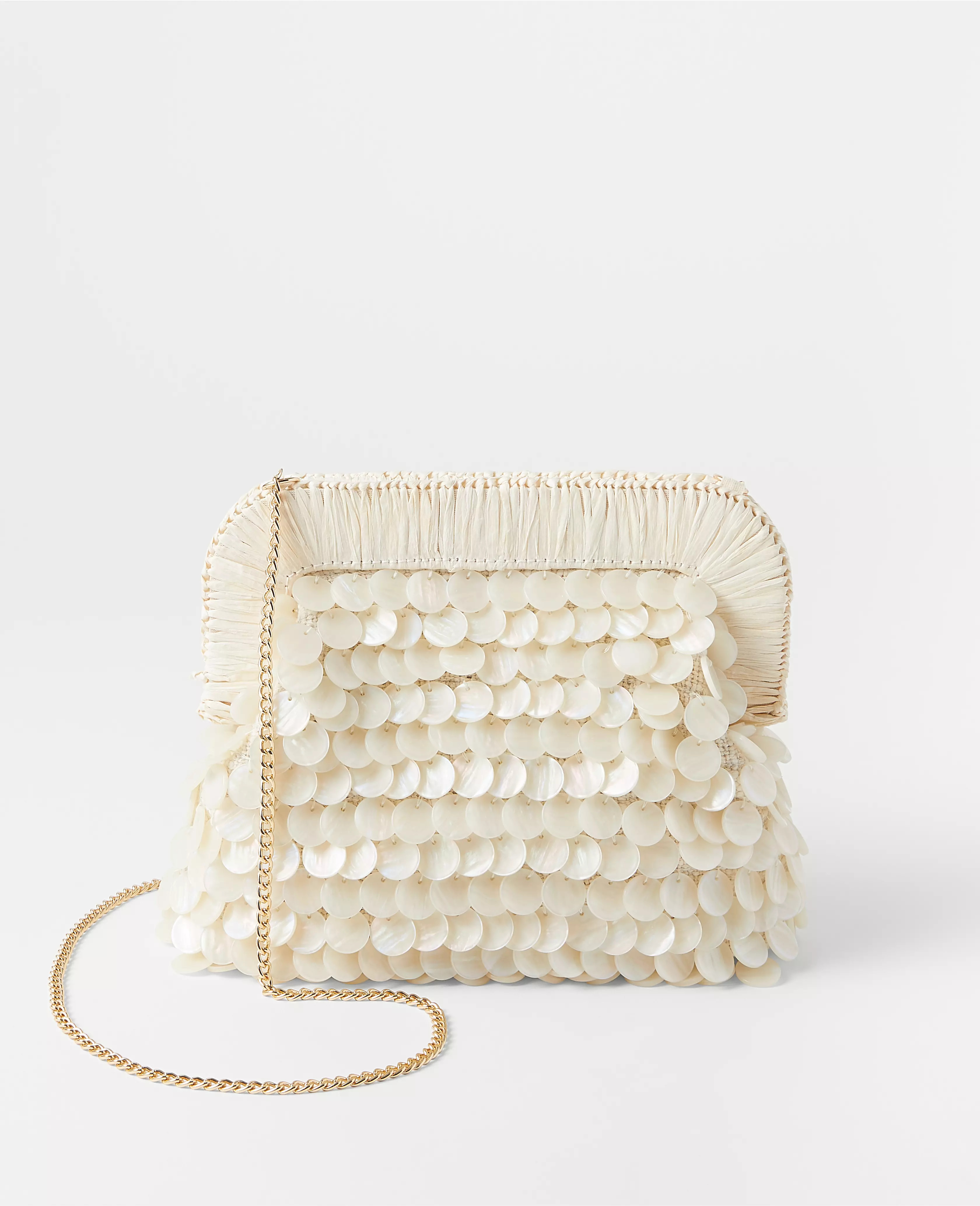 Pearlized Disc Dumpling Clutch | Ann Taylor (US)