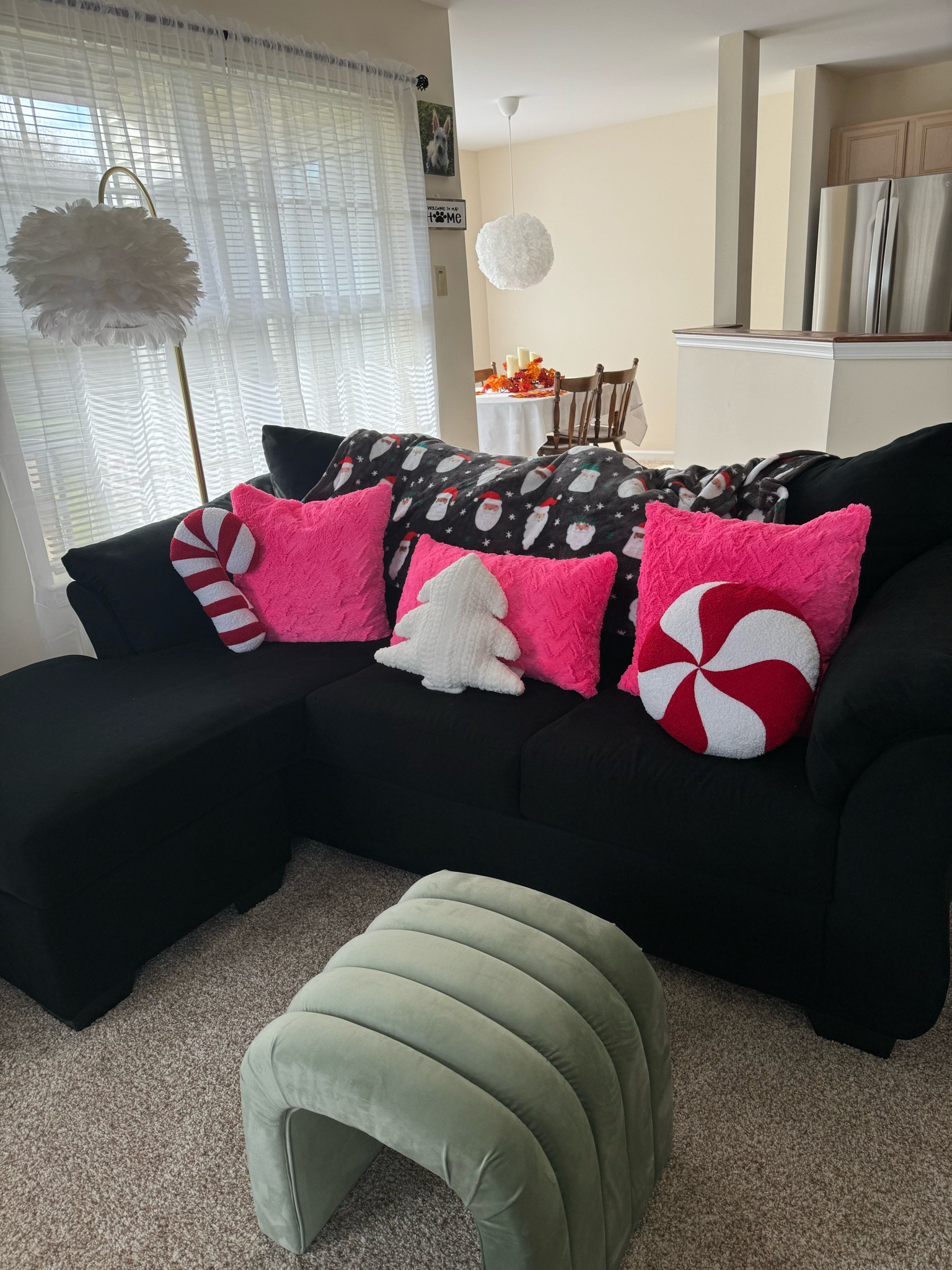 Living room couch 

Couch from Ashley Furniture 
Lamp, pink pillows and green ottoman all from Homegoods  
Santa blanket is old from kohls but linked some similar ones 

#LTKhome