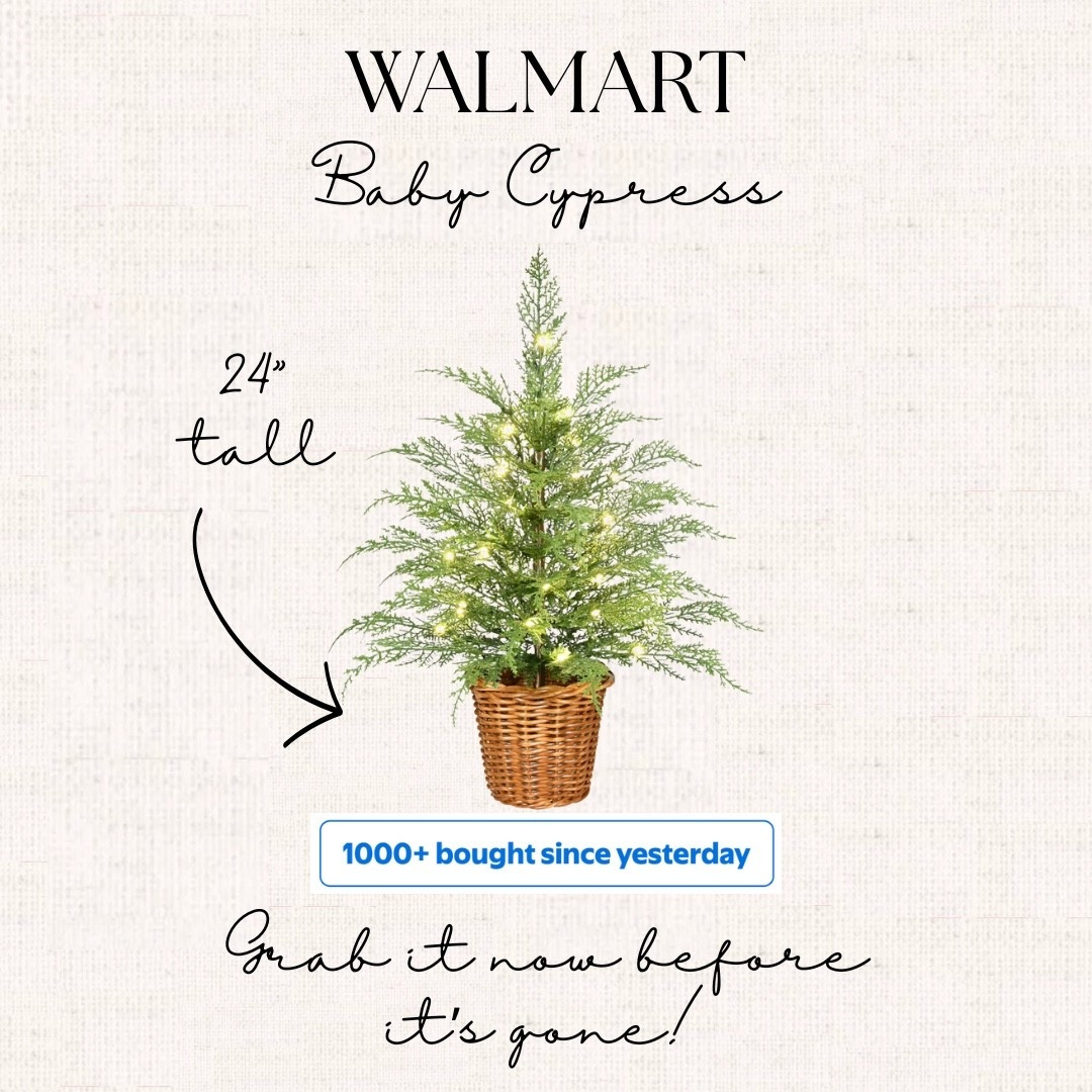 Run and grab it before it’s gone! 🏃‍♀️💨 The new baby twinkling cypress from @walmart ✨ 