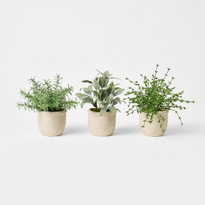 Set of 3 Mini Potted Herbs - Threshold™ designed with Studio McGee | Target