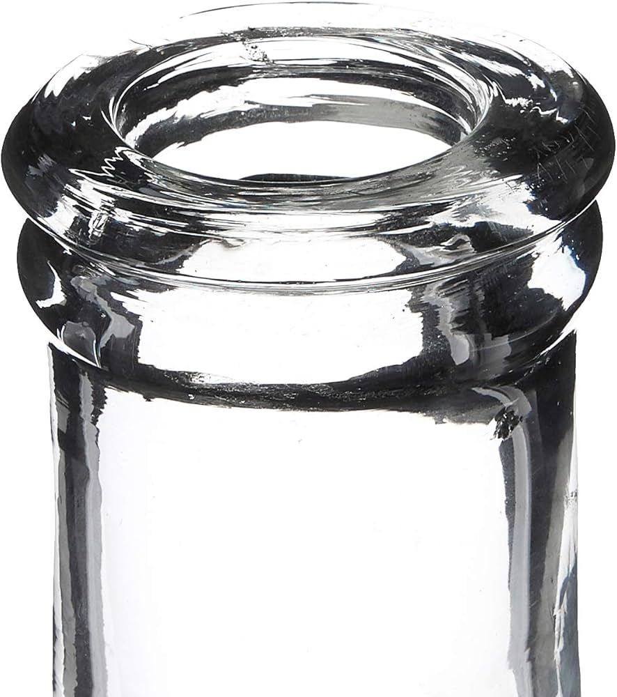 Creative Co-Op Decorative Glass Bottle Vase, 18 Inch, Clear | Amazon (US)