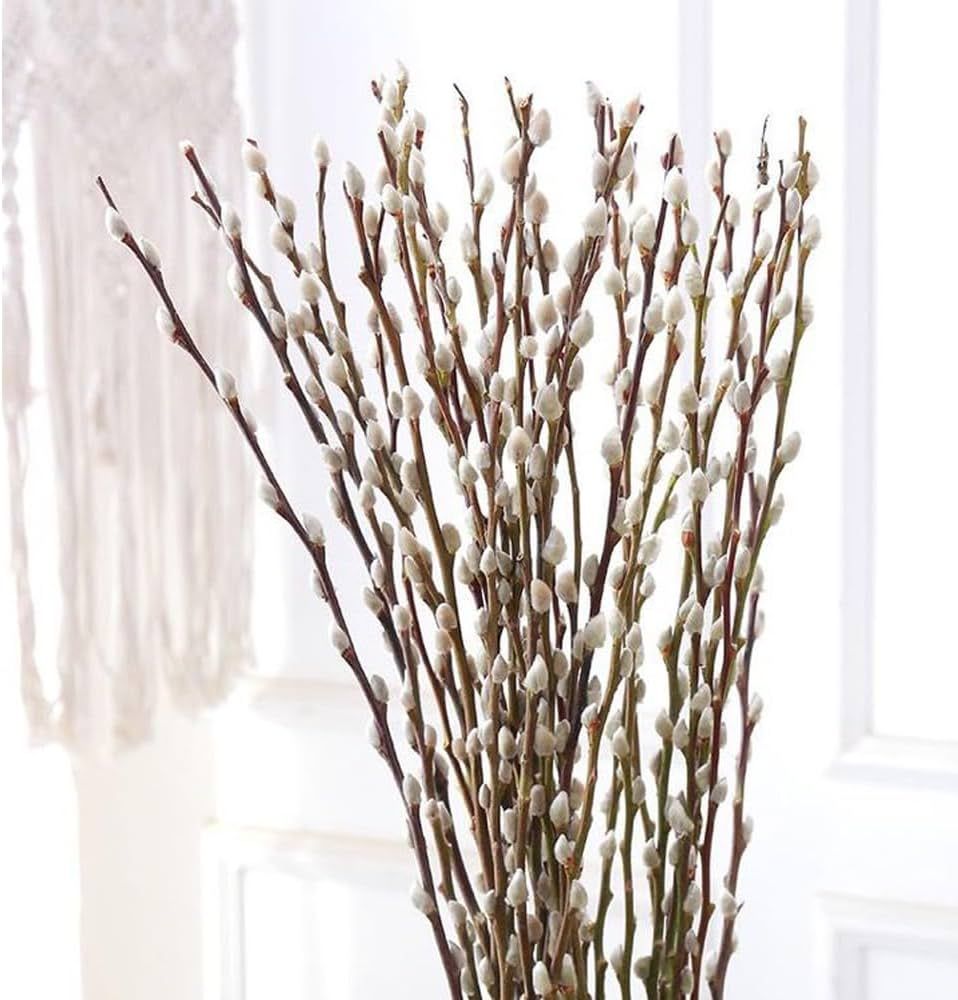 30 Branches Pussy Willow Branches for Vases 23＂Natural Dried Pussy Willows Real Dried Flowers 2... | Amazon (US)