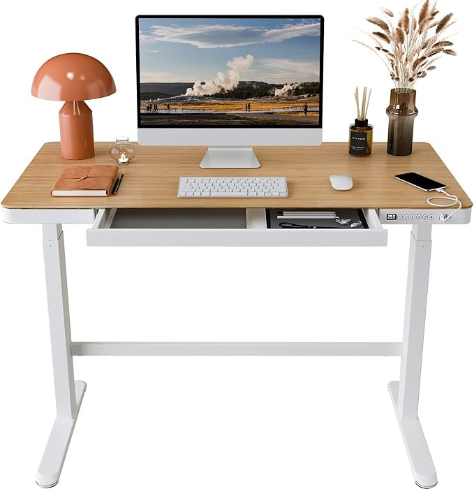 FLEXISPOT EB8 Standing Desk with Drawers Electric Sit Stand up Desk with Storage 48 x 24 Inches B... | Amazon (US)