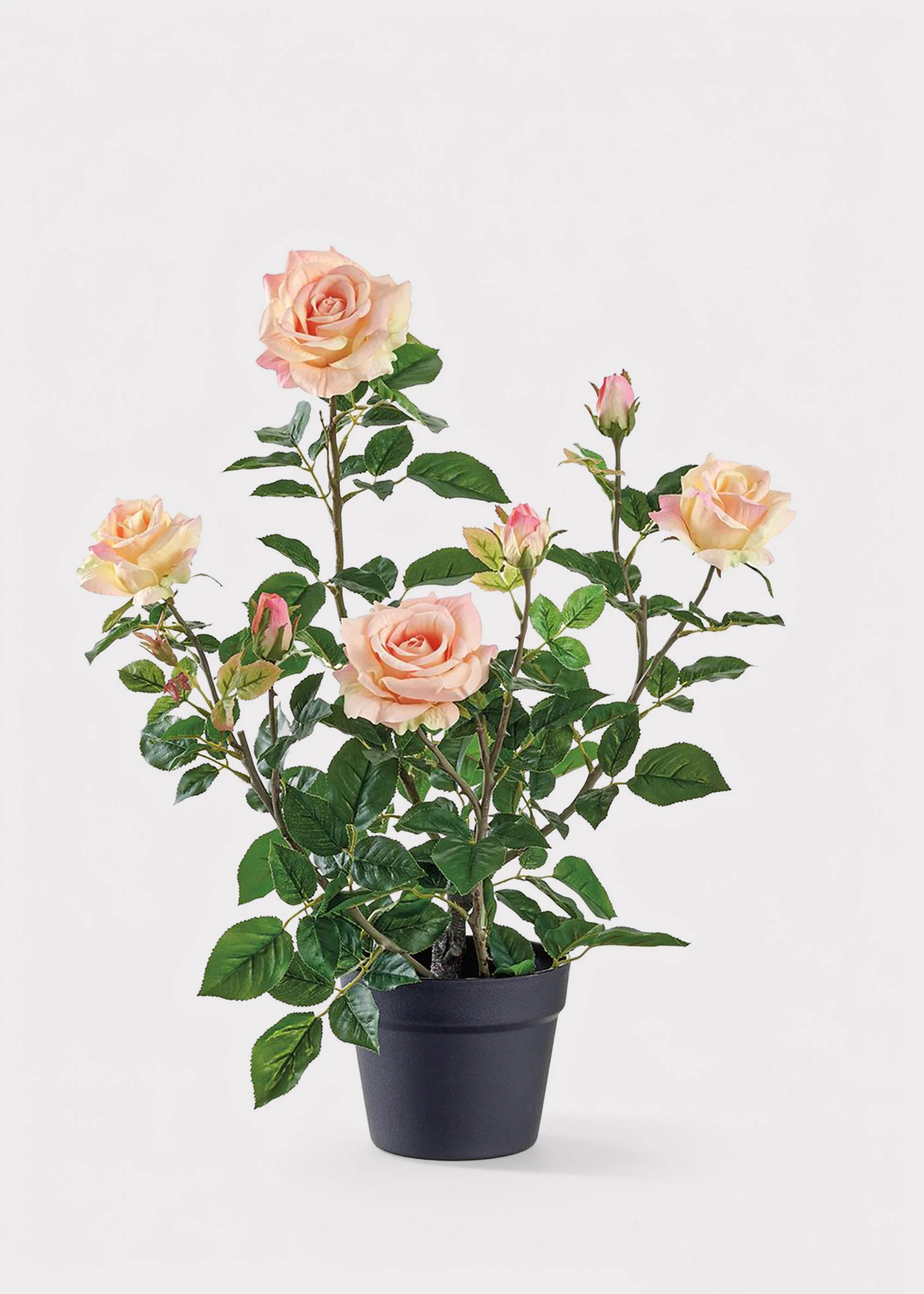 Pink Roses in Black Pot | Fake Flower Arrangements | Afloral | Afloral