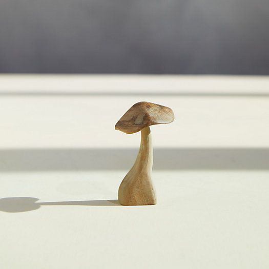 Teak Mushroom, Mini | Terrain