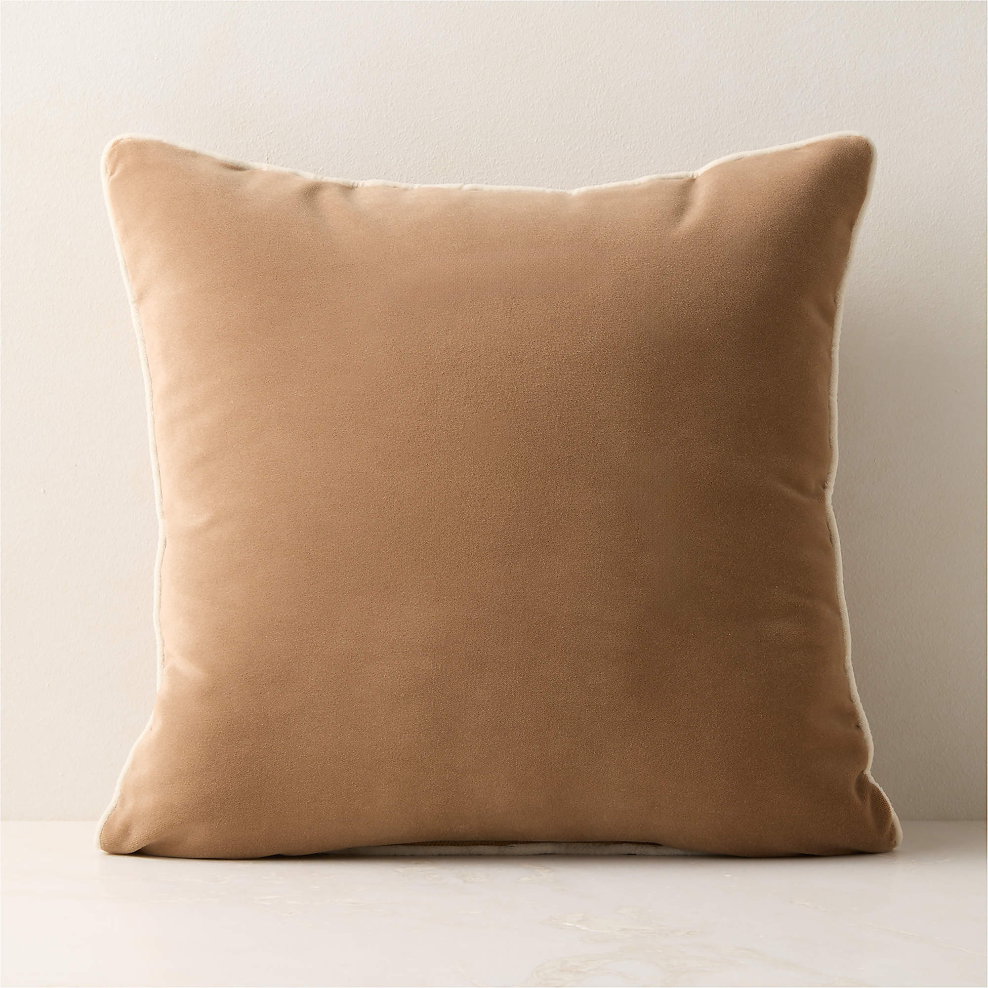 Bronte Light Brown Velvet Outdoor Throw Pillow 20"x20" + Reviews | CB2 | CB2