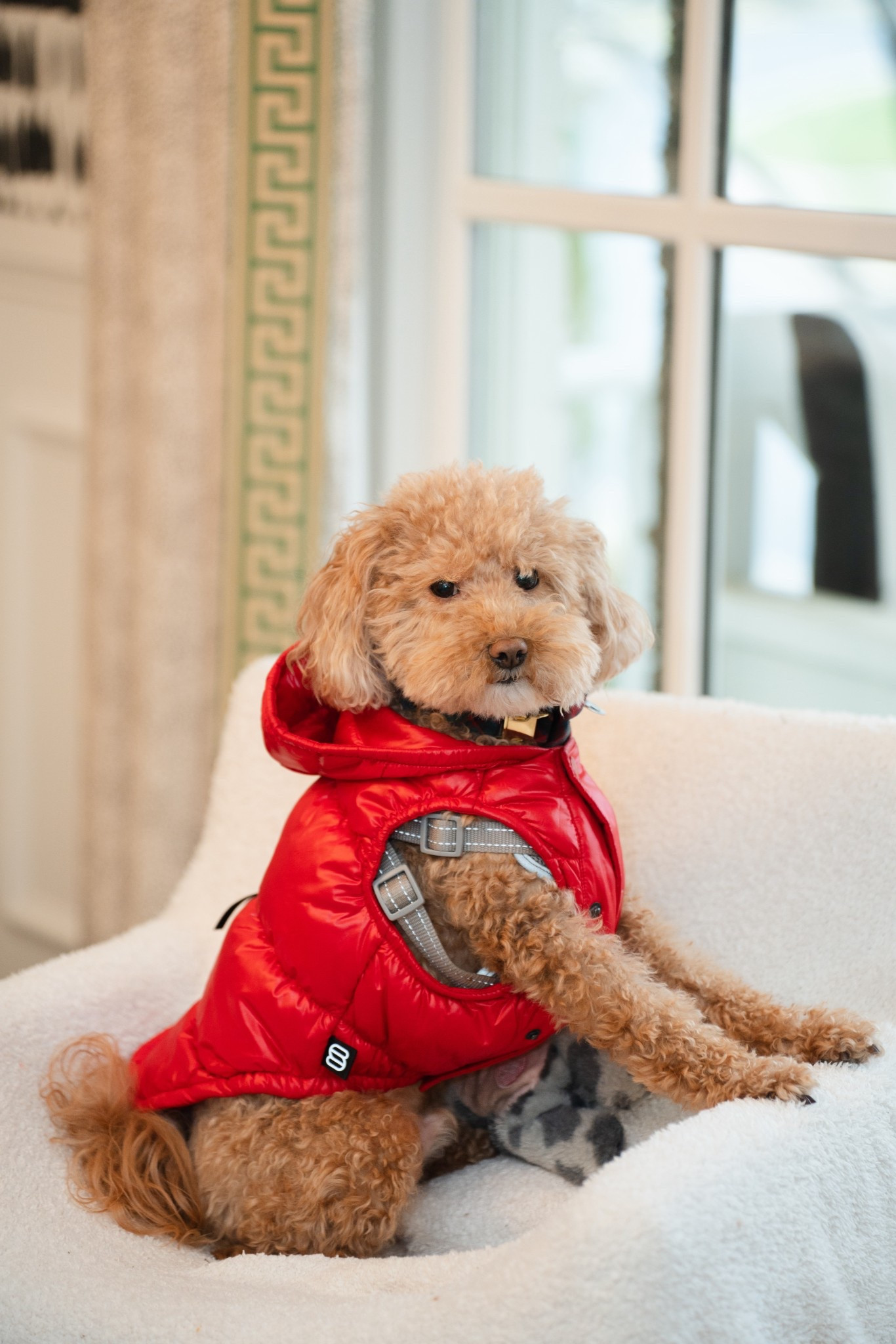 my own little baby elf… with his festive holiday fit! 

#LTKSeasonal #LTKHoliday