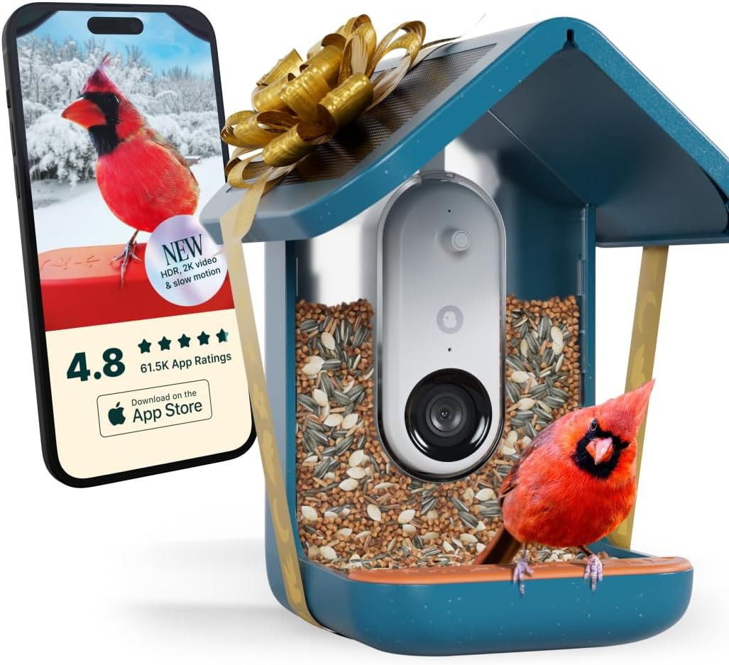 Birdbuddy PRO Solar Smart Bird Feeder with Camera - AI Bird Species Identification, 5MP Photos, 2... | Amazon (US)