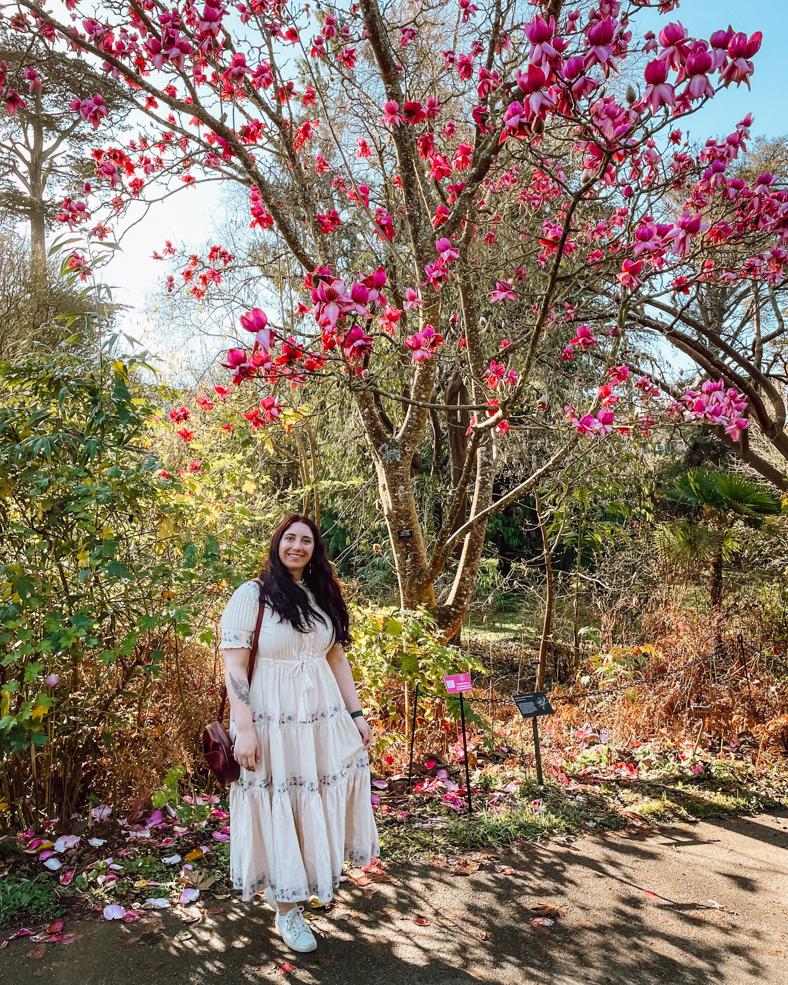 Whether you’re checking out magnificent magnolias or out for brunch, the beautiful Holland Dress from Ivy City Co is fit for the occasion! 🌸💘💕 I’m also linking some other Ivy City Co. favorites, because their dresses always make me feel like a princess! With sizes from XS-5X, they know how to make any body type feel like a queen 👑 #ivycityco #hollanddress #princessstyle #girlydresses 

#LTKFind #LTKcurves #LTKstyletip