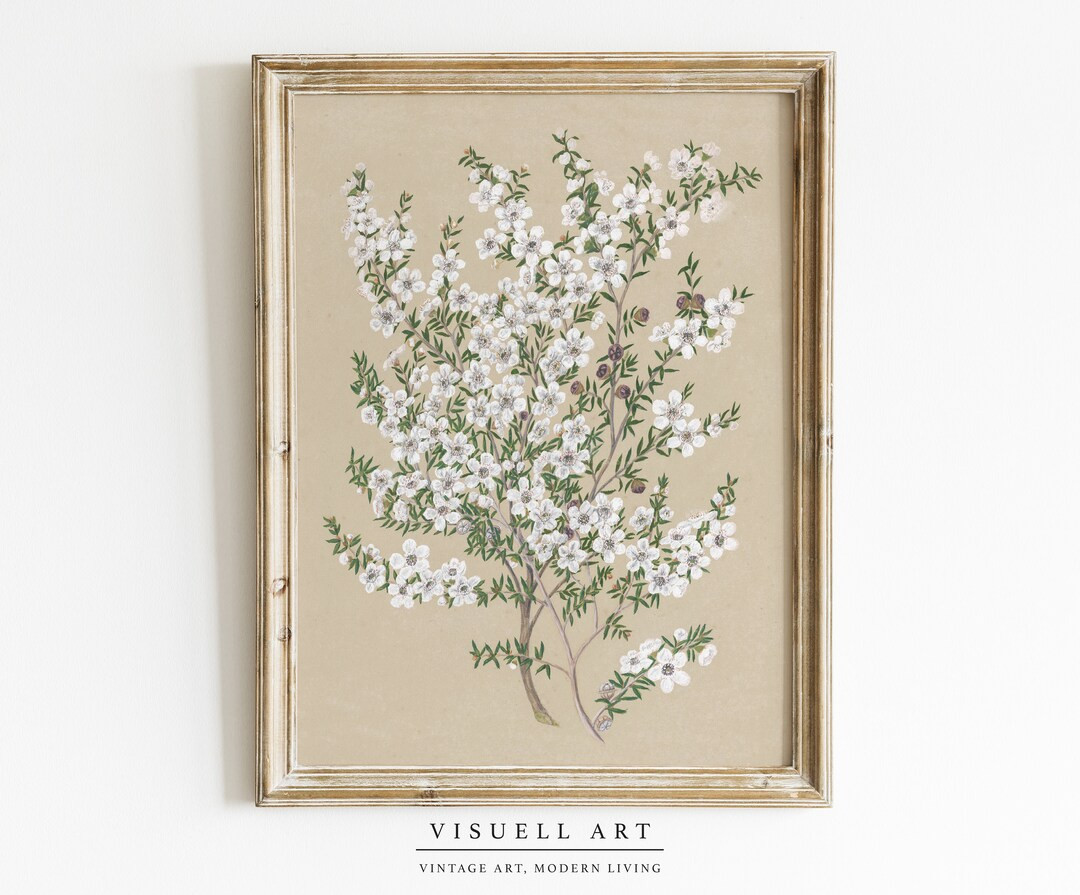 Muted Vintage Flower Print, Neutral Floral Still Life Oil Painting, Vintage Painting, Botanical S... | Etsy (US)