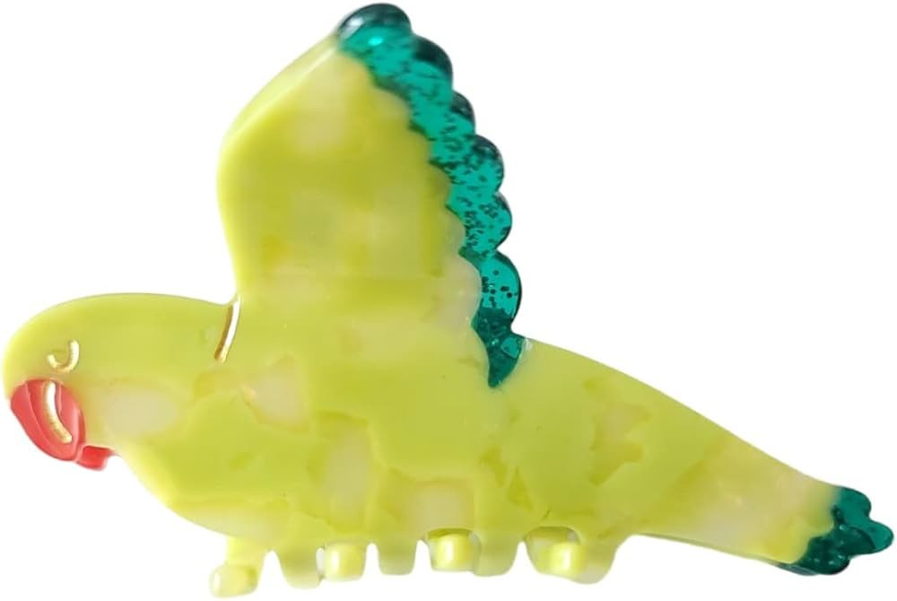 Parrot Claw Clip,Dog Claw Clip,Acetate Hair Clips,Big Claw Clips for Women | Amazon (US)