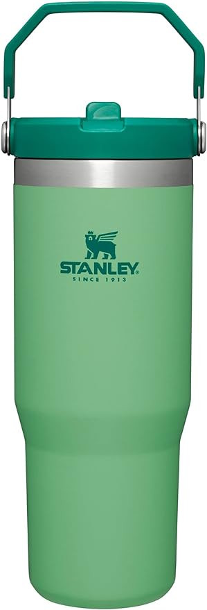 STANLEY IceFlow Stainless Steel Tumbler with Straw, Vacuum Insulated Water Bottle for Home, Offic... | Amazon (US)