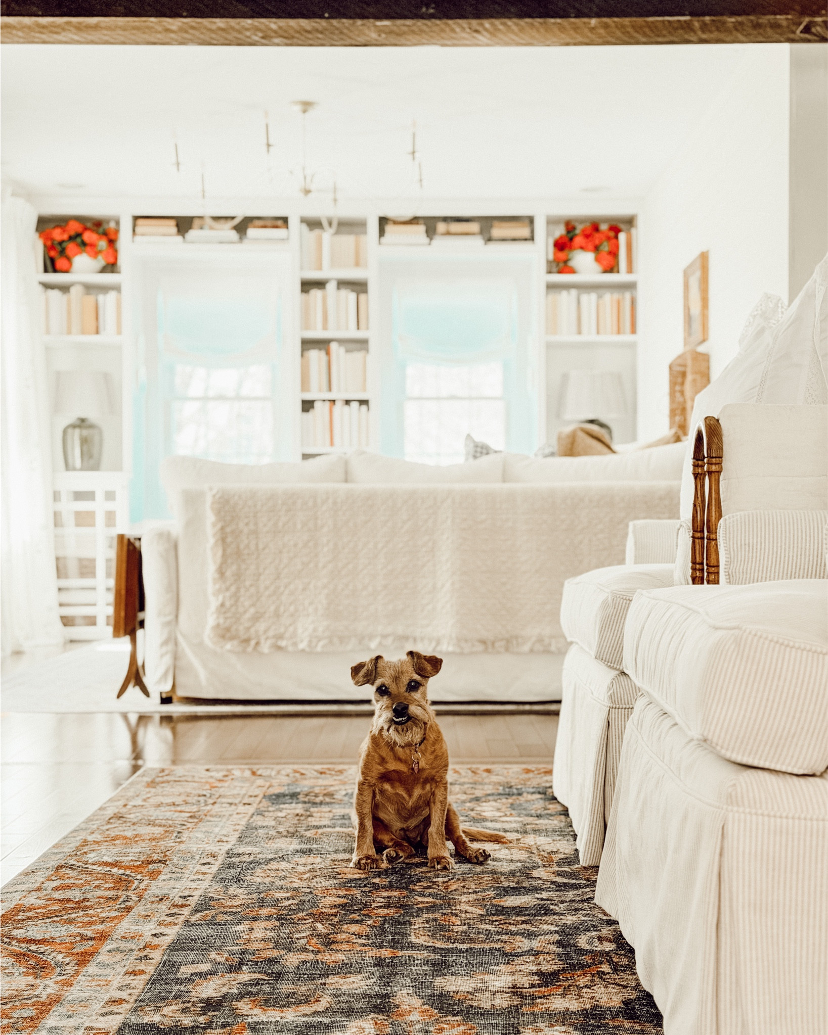 Shop our spring decor.

#LTKHome