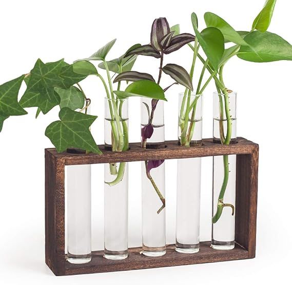 Mealivos Plant Terrarium with Wooden Stand, Wall Hanging Glass Planter Propagation Station with 5... | Amazon (US)