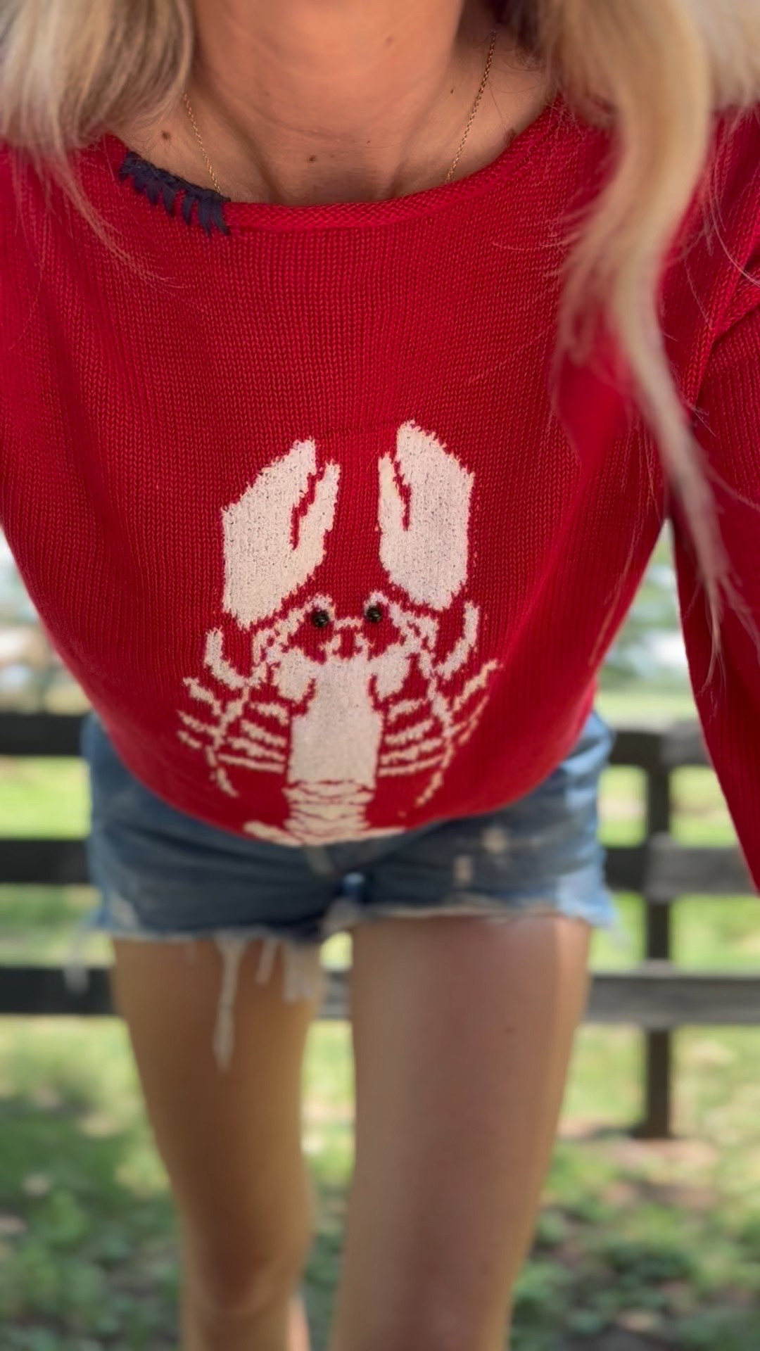 This is definitely giving New England Summer! How cute is this lobster sweater from Target! Wearing XS. Summer sweater, summer outfit, summer shorts, cut off shorts, Levi shorts, target summer, Americana, Fourth of July outfit, summer vacation outfit. Callie Glass 

#LTKFindsUnder50 #LTKSummerEdit #LTKSeasonal
