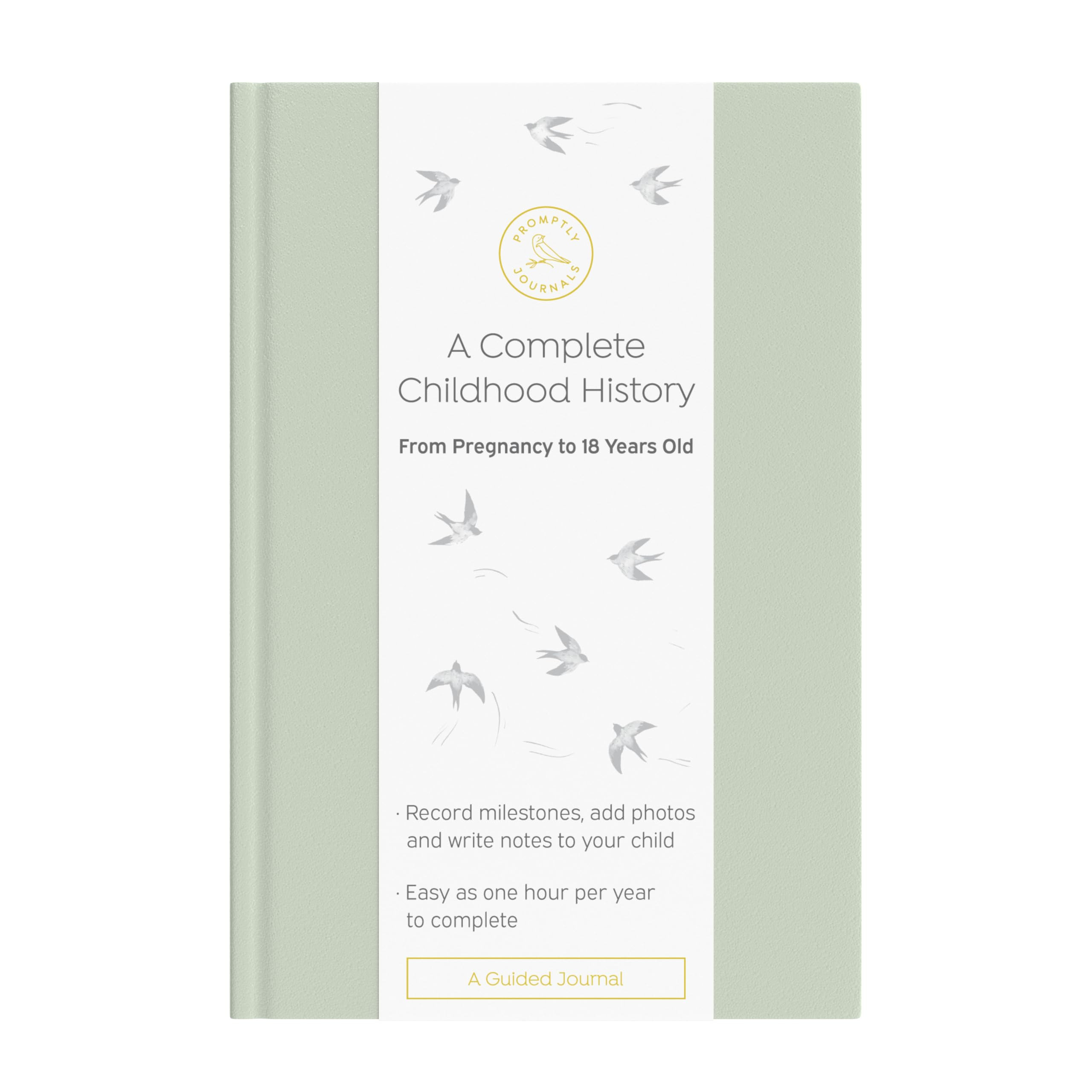 Promptly Journals, A Complete Childhood History: From Pregnancy to 18 Years Old (Aloe Green, Leat... | Amazon (US)