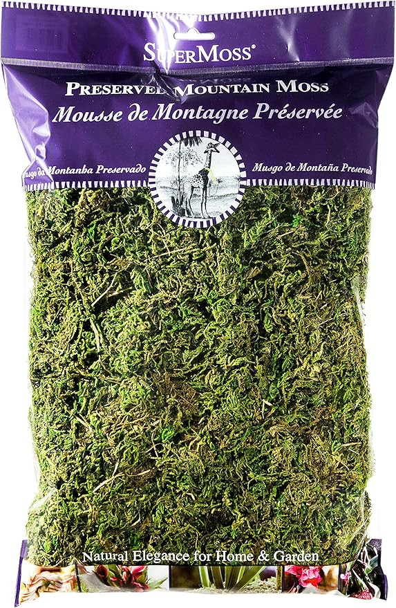 SuperMoss (23802) Mountain Moss Preserved, Fresh Green, 8 Ounces | Amazon (US)