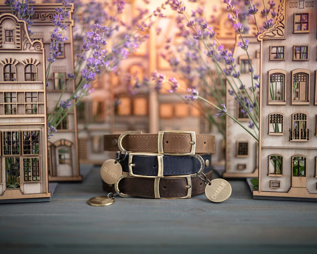 Dog Collar Leather Dog Collar Personalized Dog Collar Girl - Etsy | Etsy (US)