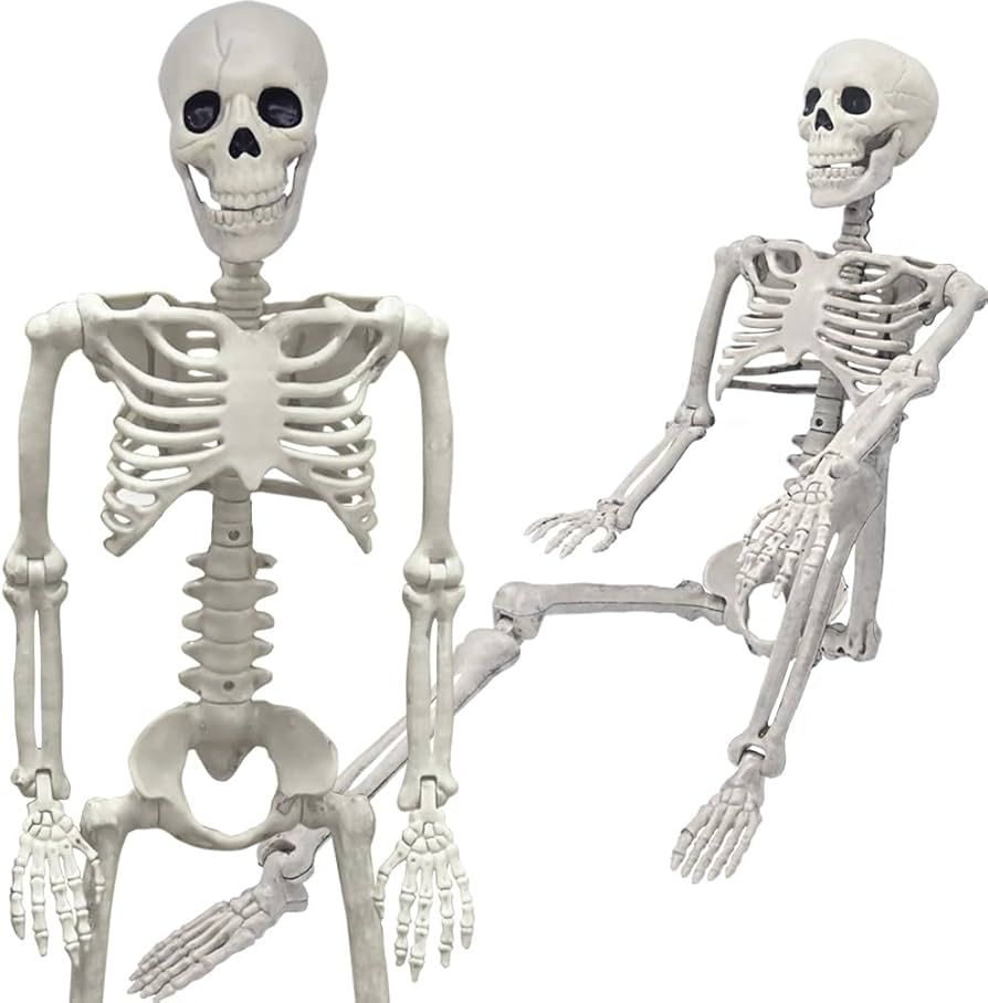 36" Skeleton Halloween Decorations, 3FT Realistic Full Body Movable Posable Joints Skeleton, Cree... | Amazon (US)