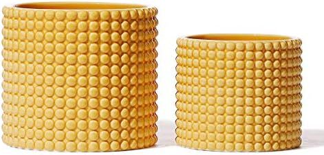 Yellow Ceramic Vintage Style Hobnail Patterned Planter Pots - POTEY 6 and 5 Inch Containers with ... | Amazon (US)