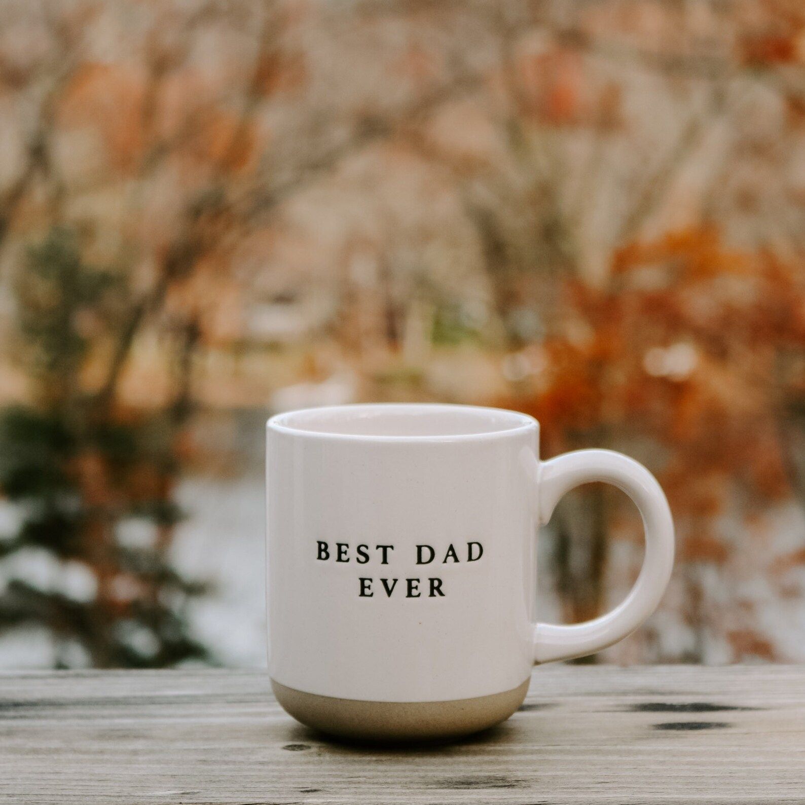 Best Dad Ever Stoneware Coffee Mug  Dad Gifts  Father's | Etsy | Etsy (US)