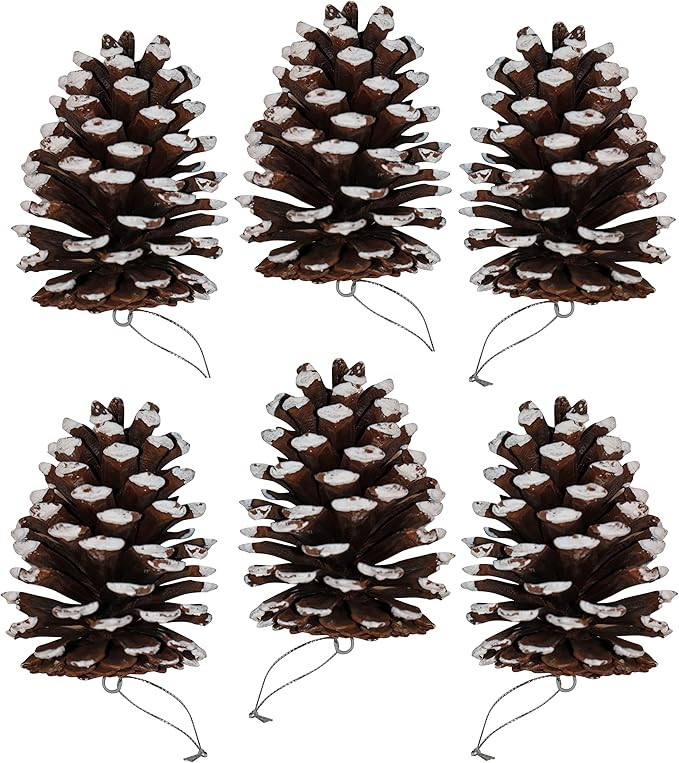 Extra Large Natural Pinecones - Bug Free and Unscented Pine Cones - Great for Vase Fillers or Chr... | Amazon (US)