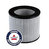 Bissell (2801 MYair Personal Air Purifier Replacement Filter, 1 Count (Pack of 1) | Amazon (US)