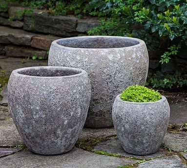 Bernache Planter Collection | Pottery Barn (US)