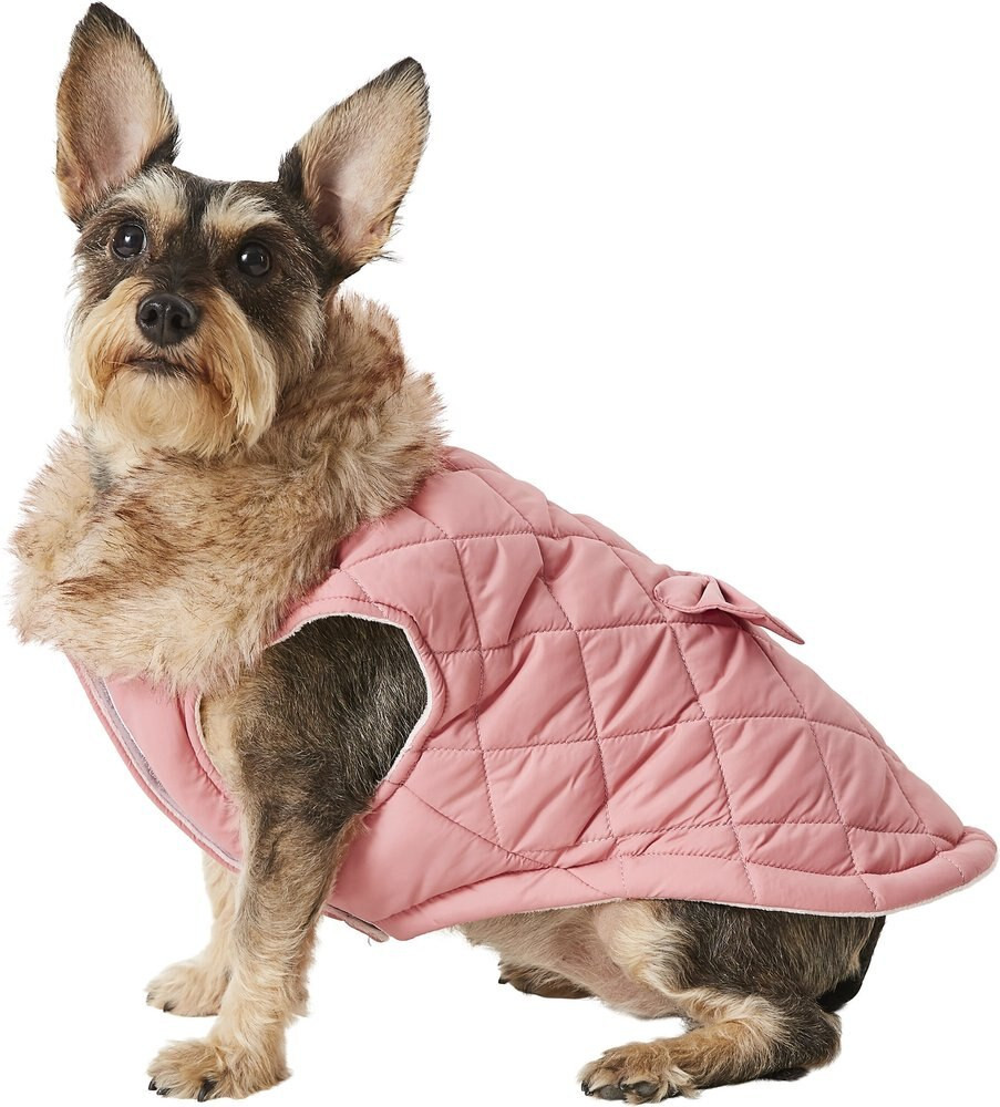 Frisco Aspen Insulated Quilted Dog & Cat Jacket with Bow, Medium | Chewy.com