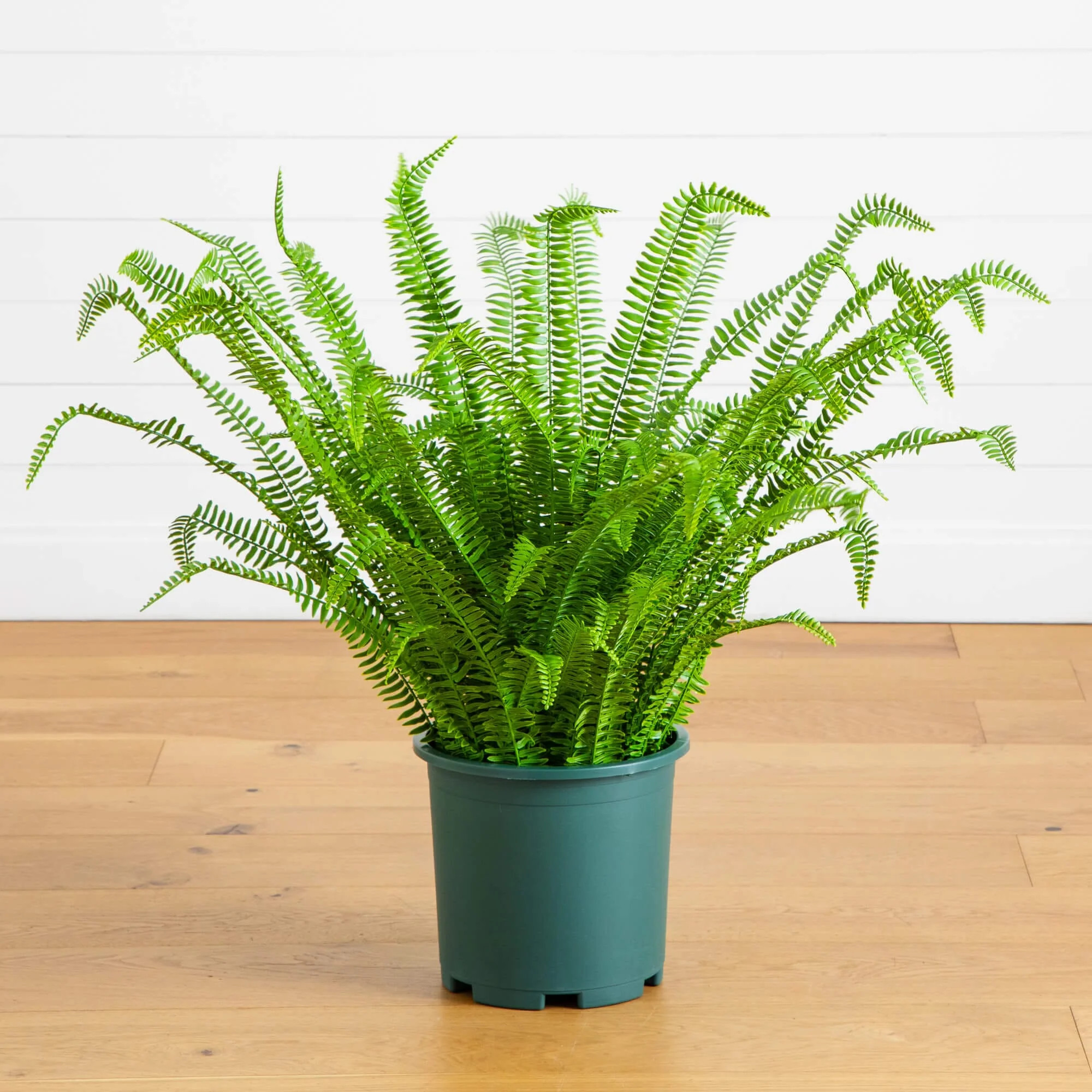 3-ft UV Resistant Artificial Real Touch Boston Fern Plant (Indoor/Outd | Nearly Natural