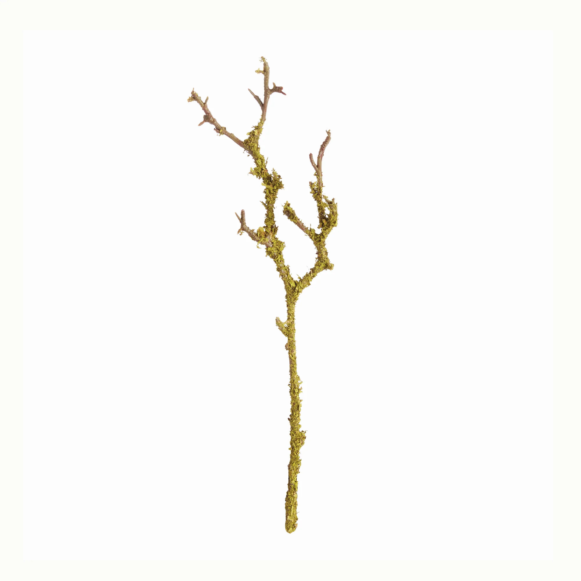 Tree-Dwelling Lichen Branches 17", Set of 6 | Gorgeous Living