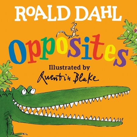 Roald Dahl Opposites (Board book) | Walmart (US)
