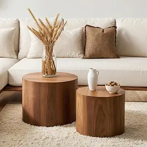 Nesting Coffee Table Set of 2, Modern Round Coffee Table with Non-Slip Feet, Walnut Wooden Circle... | Amazon (US)