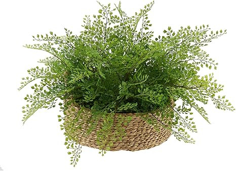 House of Silk Flowers Faux Fern in Seagrass Tray Basket (Maidenhair Fern) | Amazon (US)