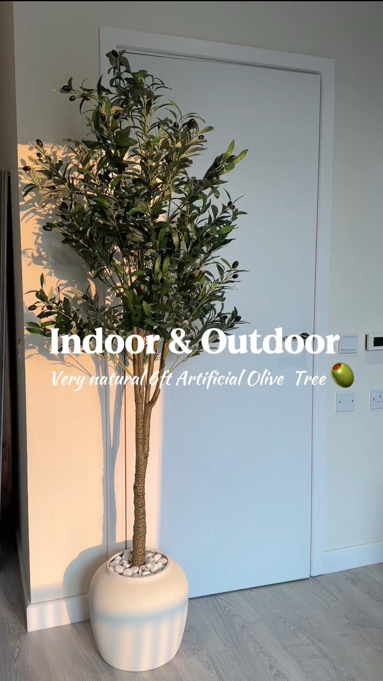 Styling my dream olive tree 🫒🤍🌿


#LTKHome #LTKsummee

#LTKuk #LTKhome #LTKsummer #LTKuk