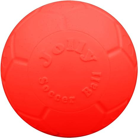 Jolly Pets Large Soccer Ball Floating-Bouncing Dog Toy, 8 inch Diameter, Orange | Amazon (US)