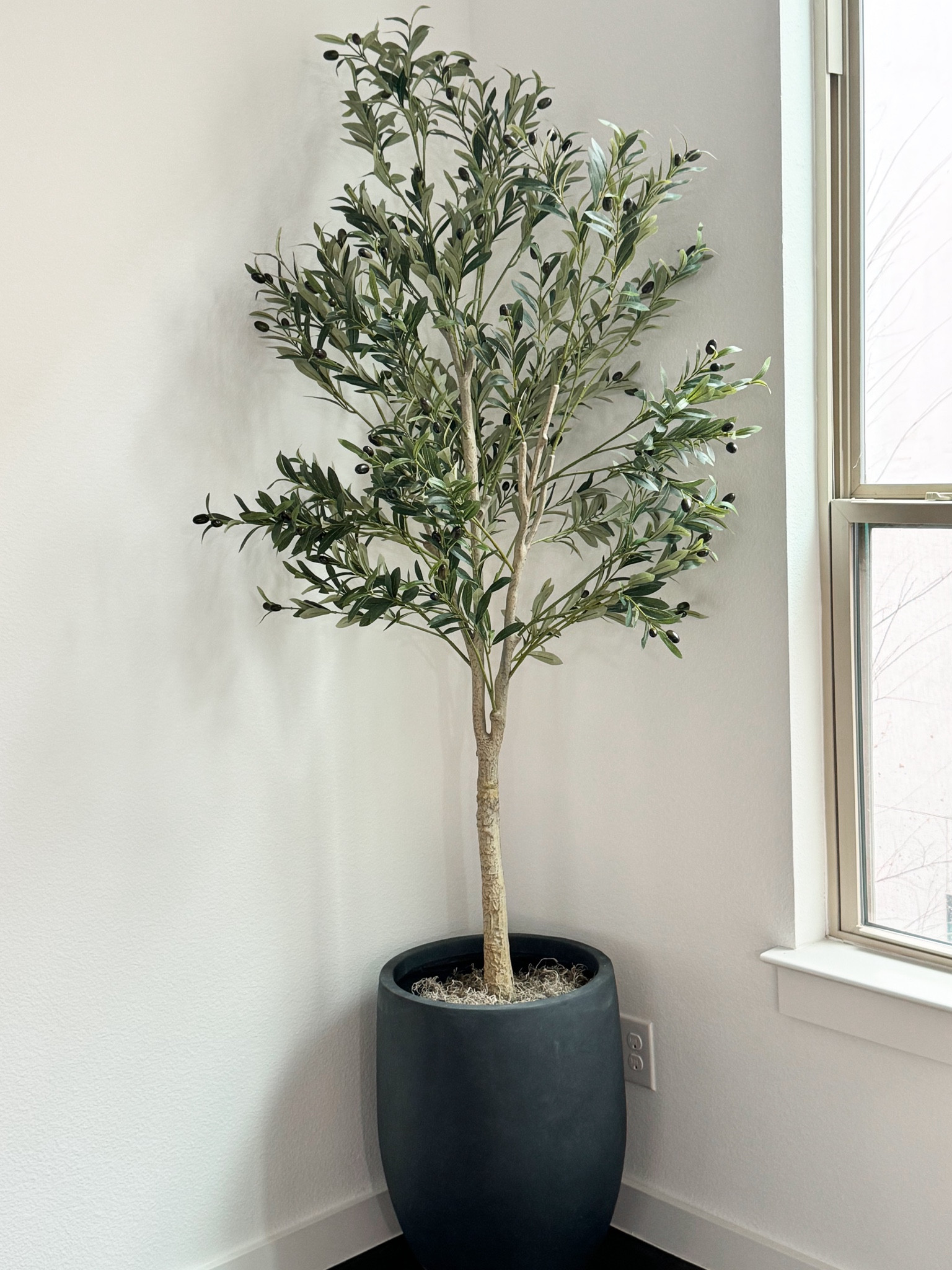 Amazon olive tree & planter

Neutral home decor, organic modern living room, Amazon home finds

#LTKfindsunder100 #LTKhome