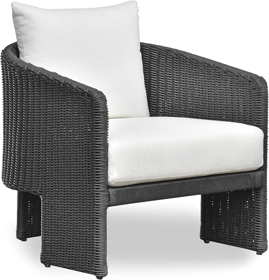 Tov Furniture Alexa Black Rattan Performance Fabric Outdoor Armchair | Amazon (US)