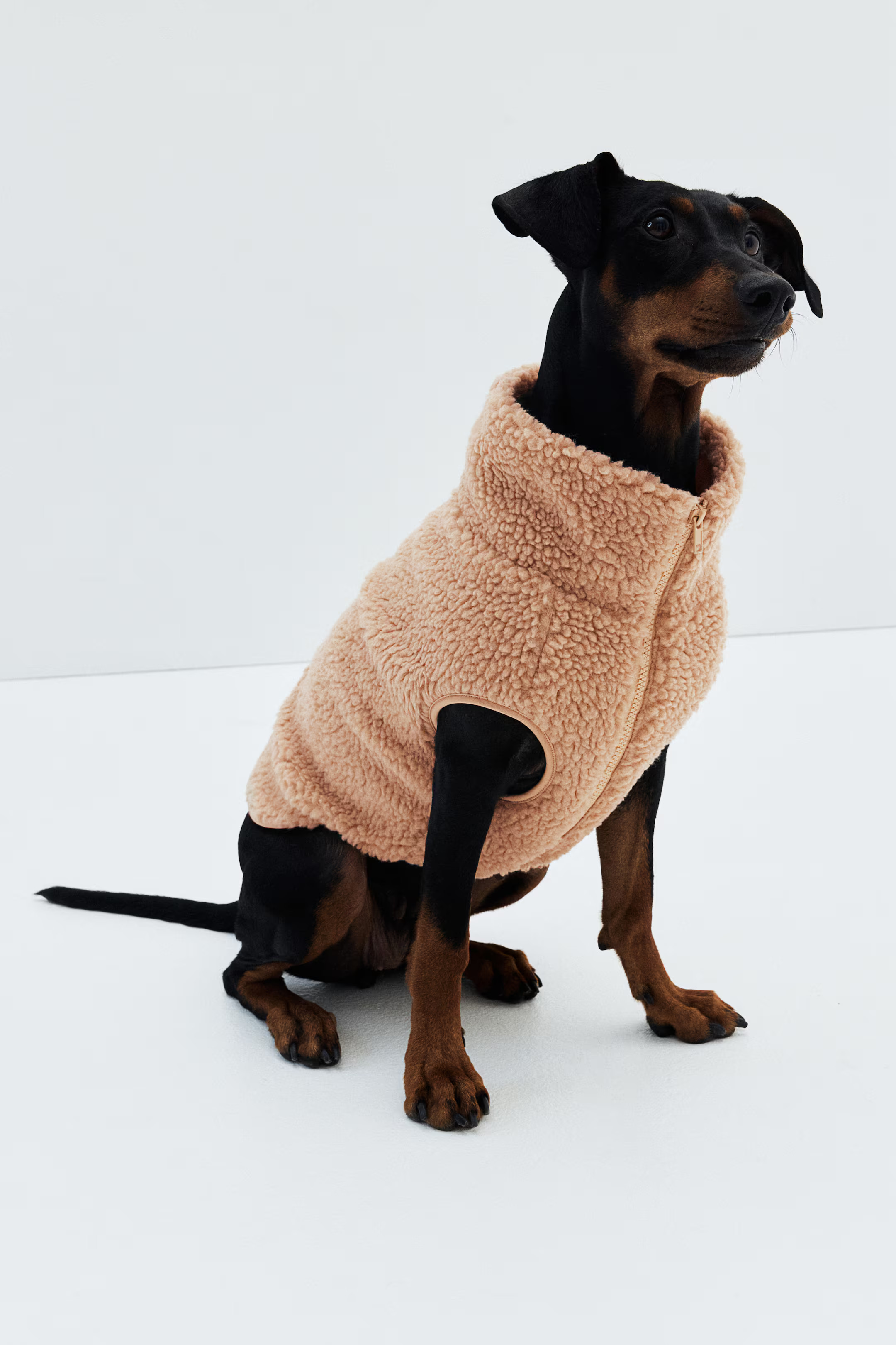 Teddy Fleece Dog Jacket | H&M (US + CA)