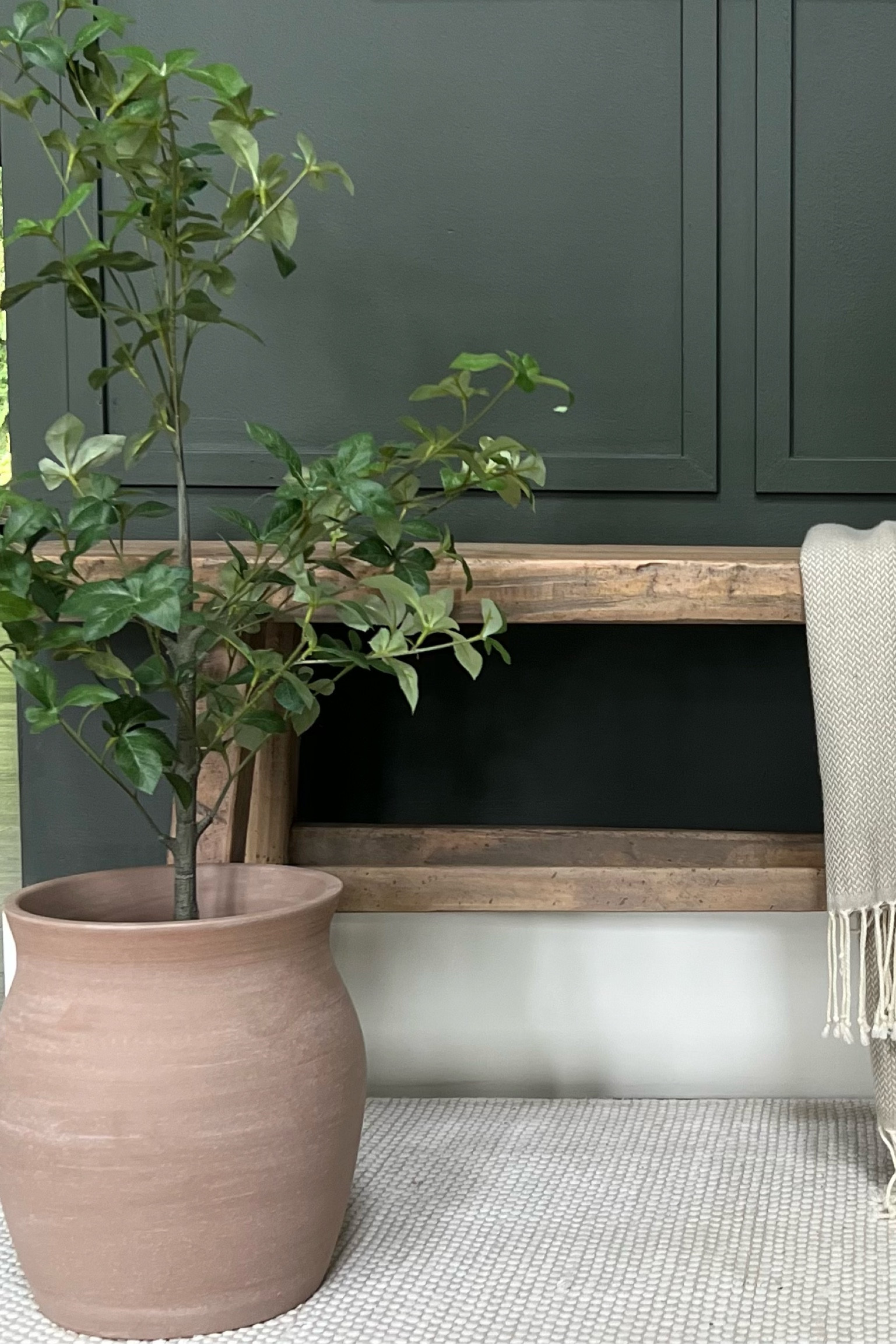 11” Terra cotta vase/planter.. a pleasant surprise from Michael’s! I love the shape of it. Very budget friendly purchase! 
Affordable home decor 

#LTKHome #LTKFindsUnder50