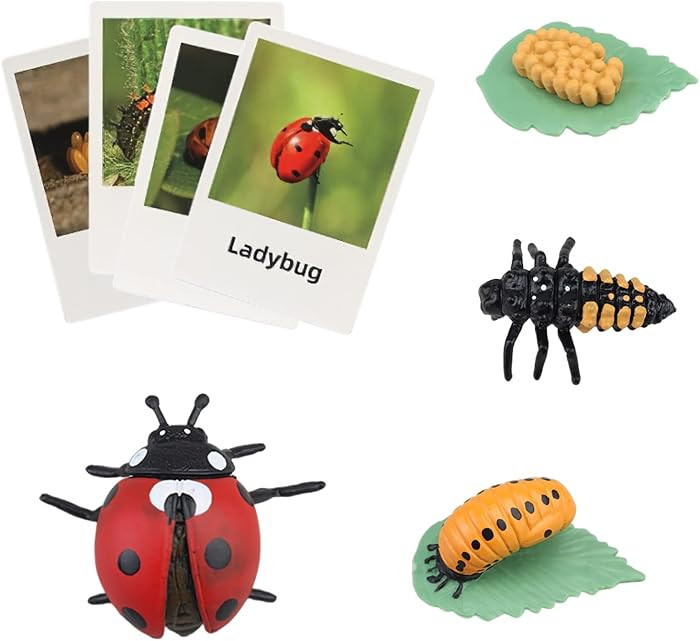 Montessori Life Cycle Animal Figures with Flash Cards, Realistic Animal Figurines Toy, Educationa... | Amazon (US)