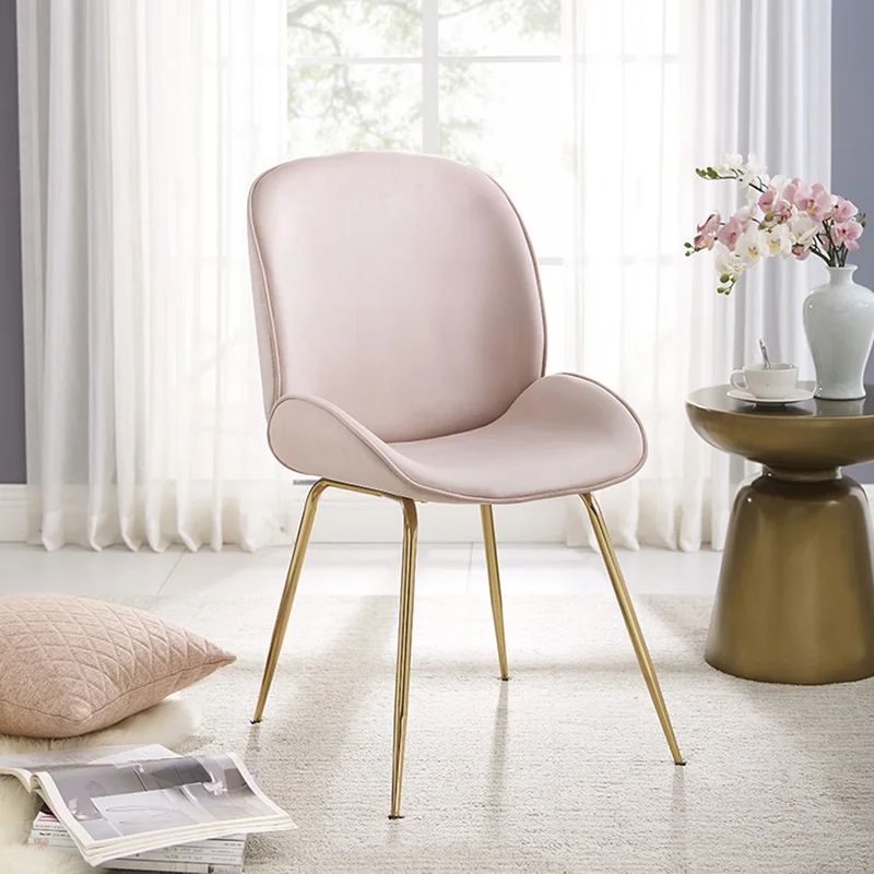 Amoroso Velvet Side Chair | Wayfair North America