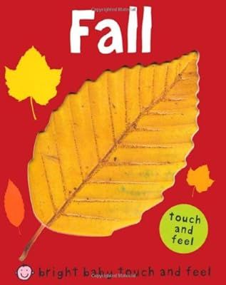 Fall (Bright Baby Touch and Feel) | Amazon (US)