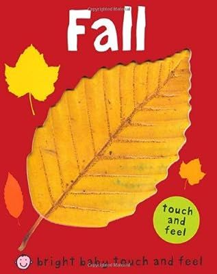 Fall (Bright Baby Touch and Feel) | Amazon (US)