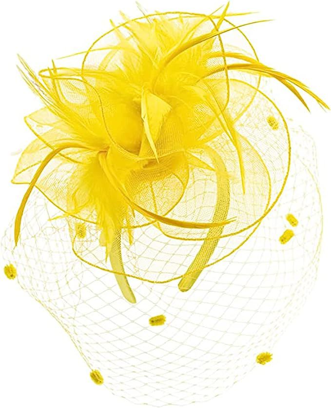 FELIZHOUSE Womens Tea Party Fascinators Hat Feathers Flower Birdcage Veil Wedding Cockatil Headba... | Amazon (US)
