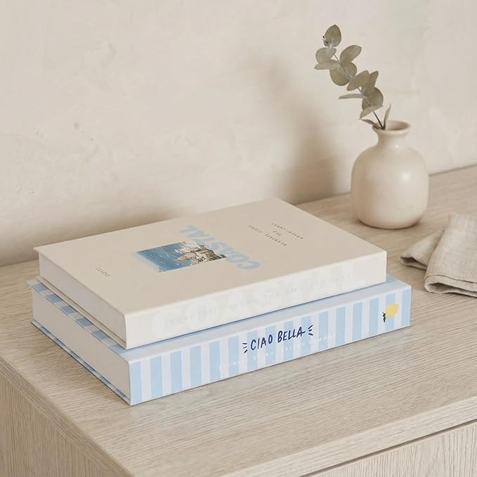 Beautiful Decorative Books - Set of 2 Coastal Boxes for Coffee Table Decor | Amazon (US)