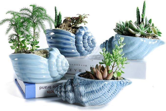 Sun-E 5.5 Inch Blue Conch Ocean Series Ceramic Base Serial Set Succulent Plant Pot Cactus Plant P... | Amazon (US)