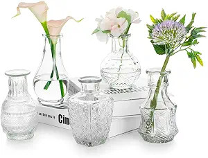 Vintage Clear Glass Bud Vase, Glasseam Set of 5 Crystal Small Mini Flower Decor Vases Antique Dec... | Amazon (US)